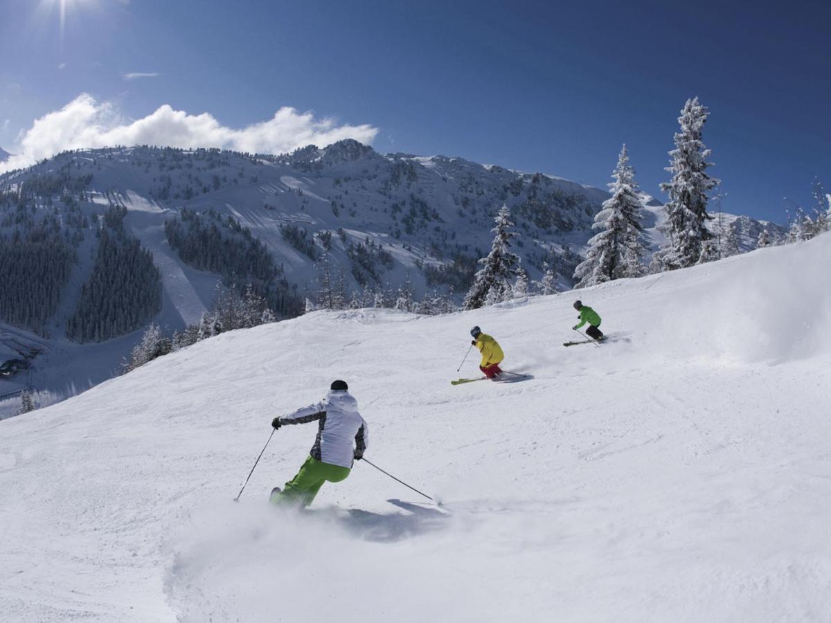 Quiet Holiday Flat Near The Mayrhofen Ski Area Швендау Экстерьер фото